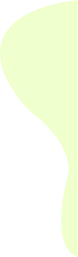 portfolio-before